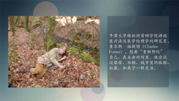 动物笑谈PPT课件88