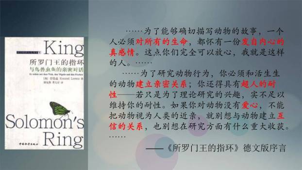 动物笑谈PPT课件81