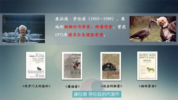 动物笑谈PPT课件82