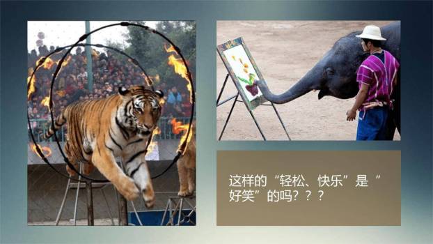 动物笑谈PPT课件84