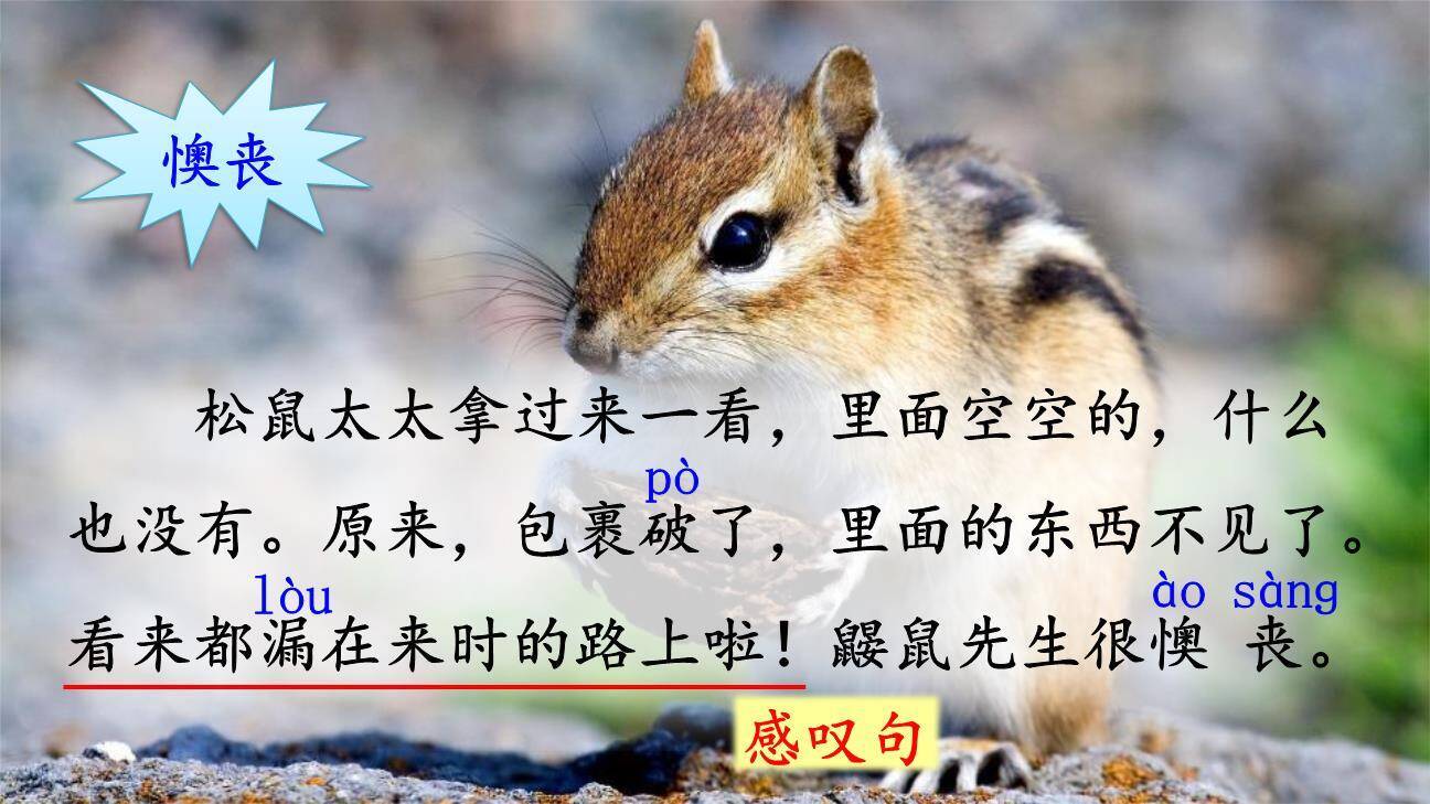 开满鲜花的小路PPT课件11