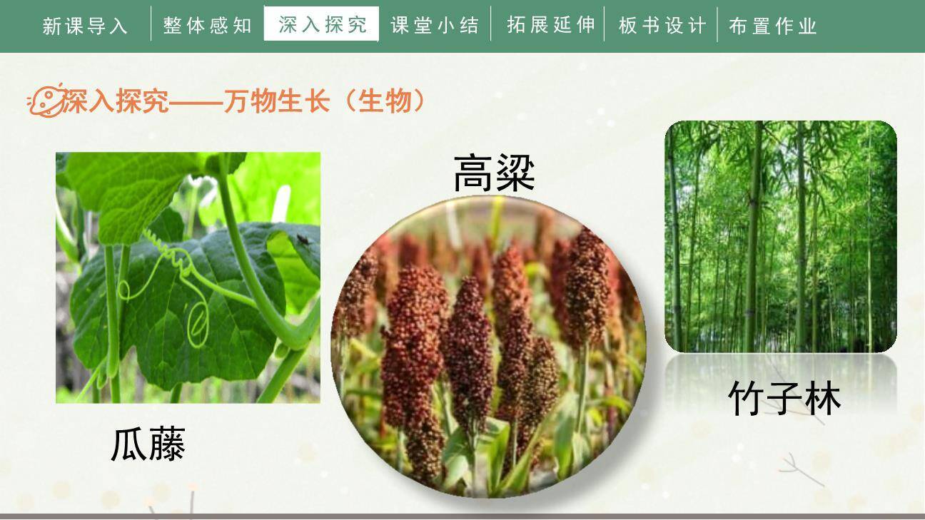 夏天里的成长PPT课件89