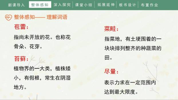 夏天里的成长PPT课件81