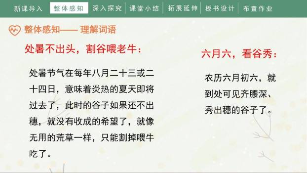 夏天里的成长PPT课件82