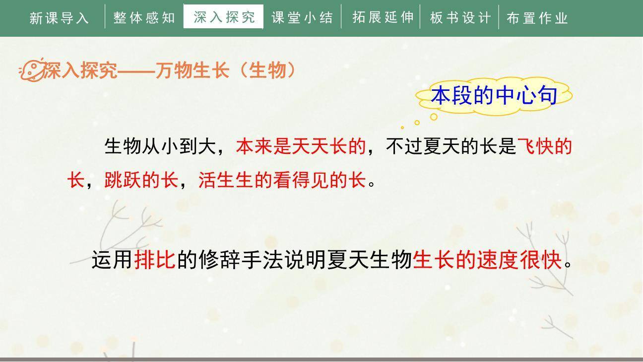 夏天里的成长PPT课件87