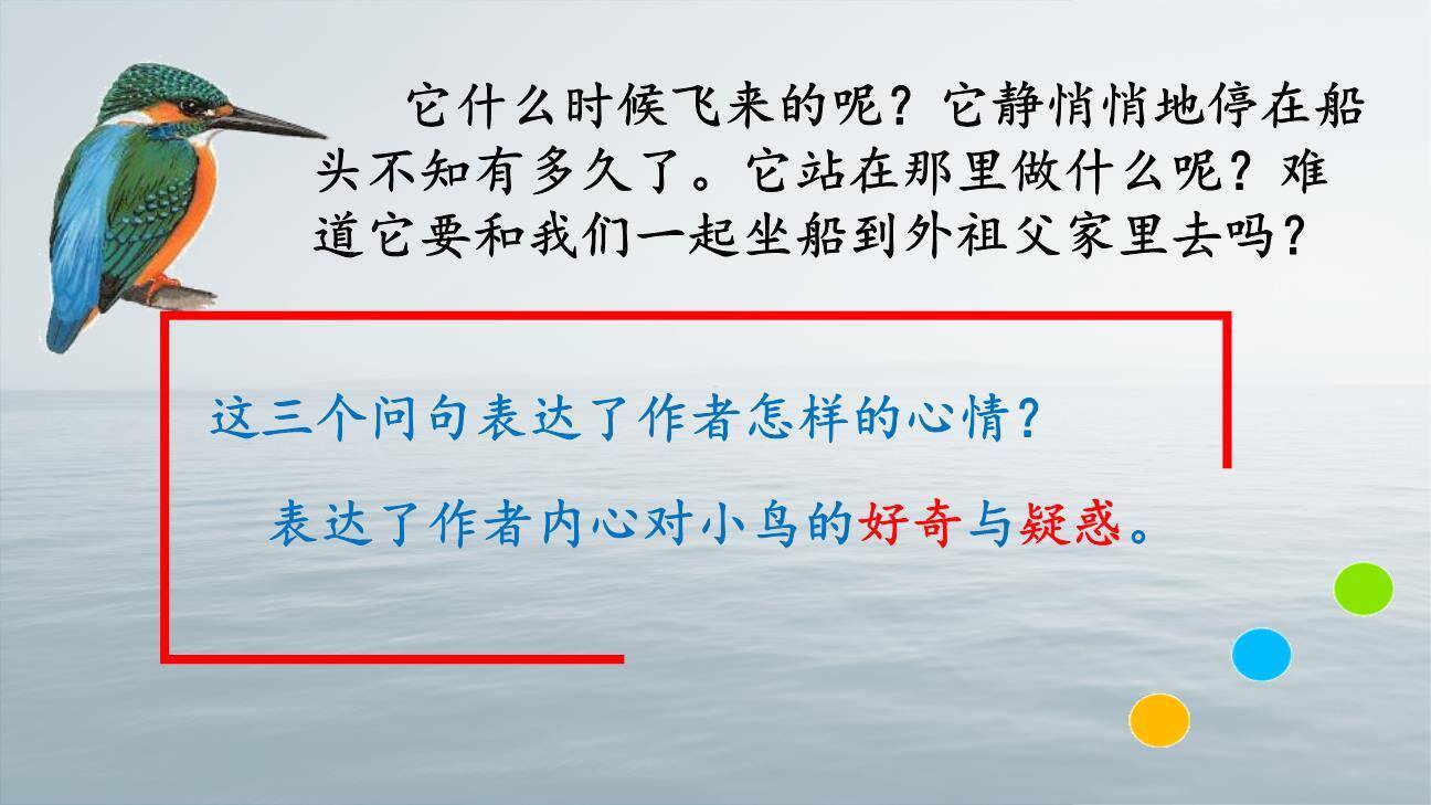 搭船的鸟PPT课件71