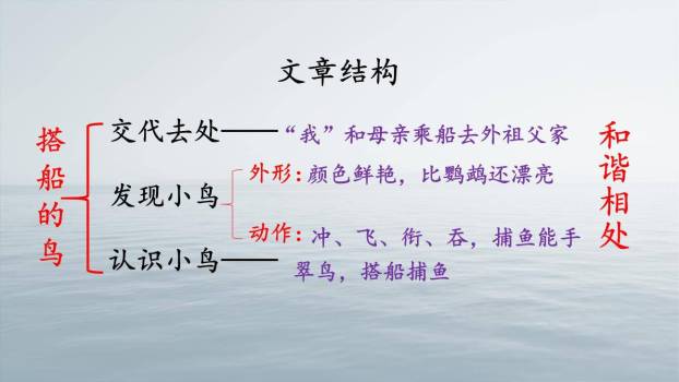 搭船的鸟PPT课件77