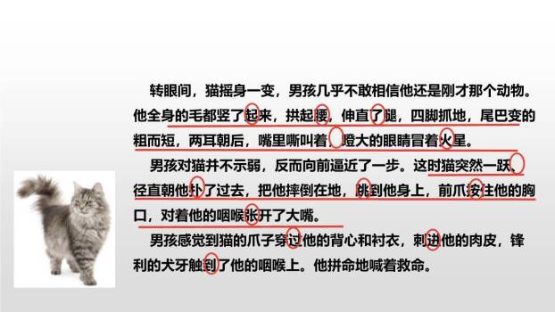 骑鹅旅行记PPT课件47