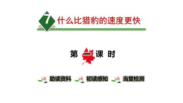 什么比猎豹的速度更快PPT课件20