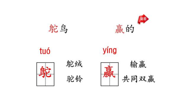 什么比猎豹的速度更快PPT课件21