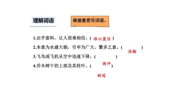 什么比猎豹的速度更快PPT课件25