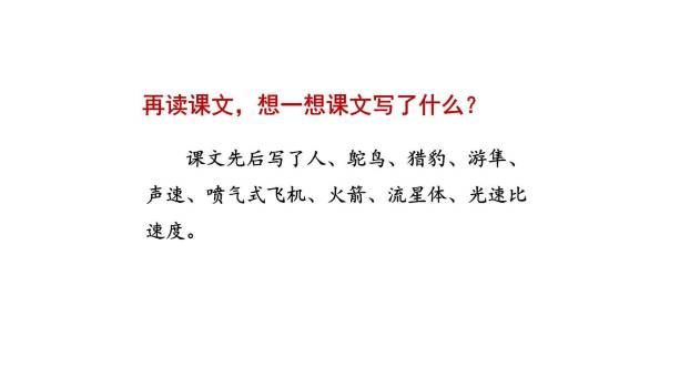 什么比猎豹的速度更快PPT课件27