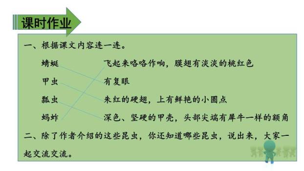 昆虫备忘录PPT课件12