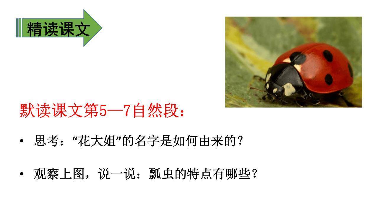 昆虫备忘录PPT课件16