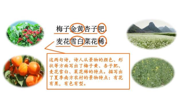 四时田园杂兴PPT课件16