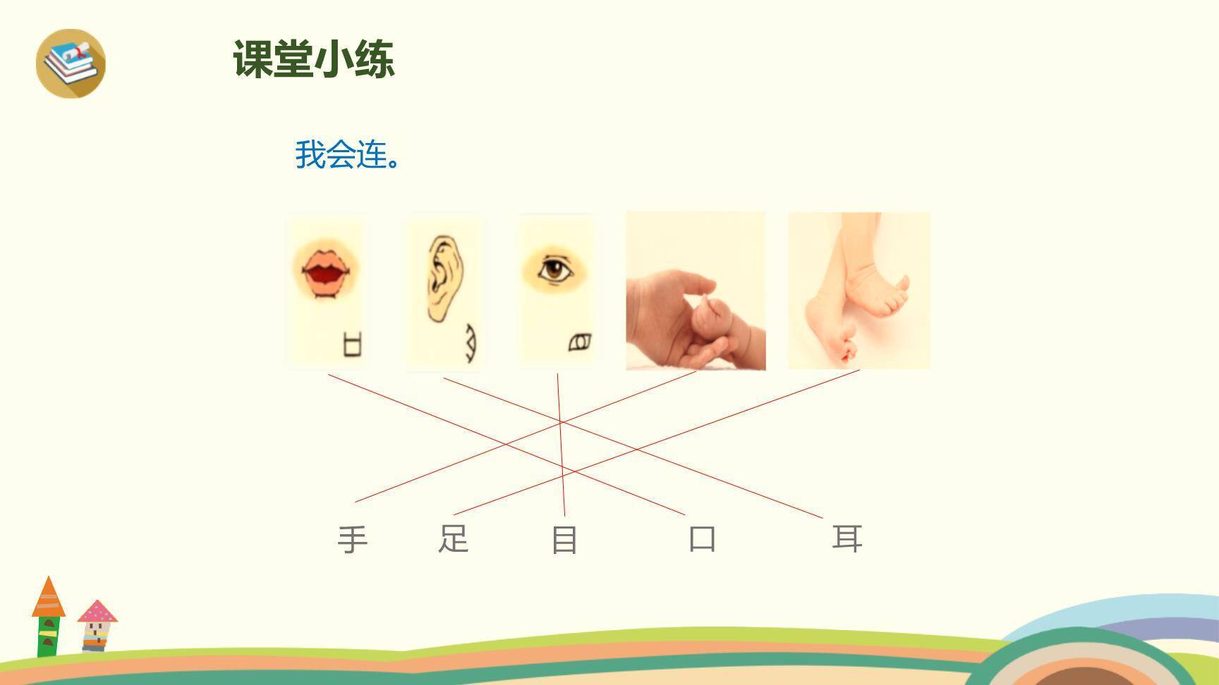 耳口目PPT课件27