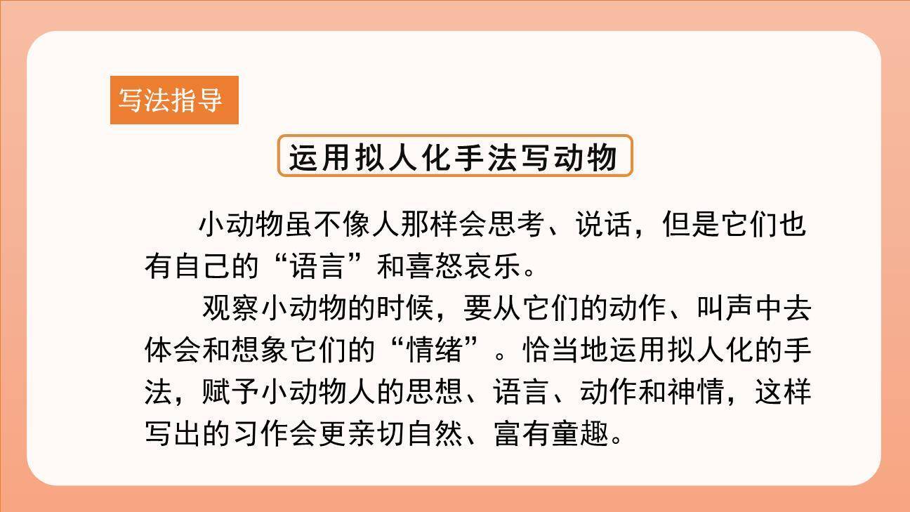 我的动物朋友PPT课件46