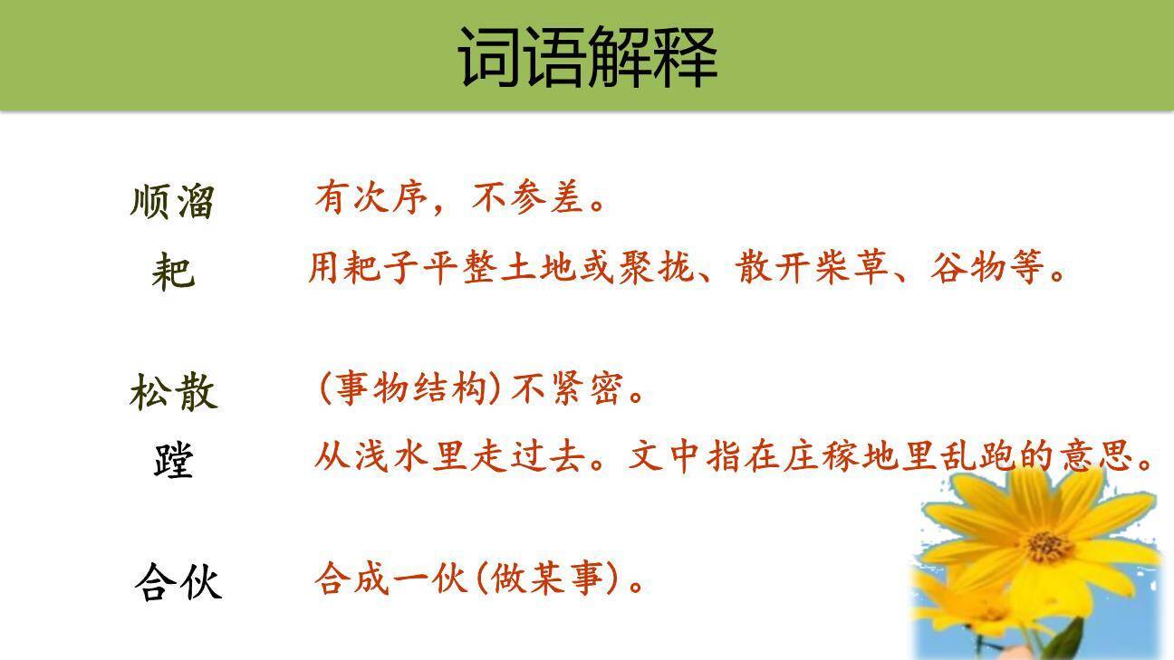 三黑和土地PPT课件69