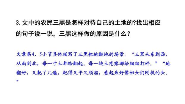 三黑和土地PPT课件61