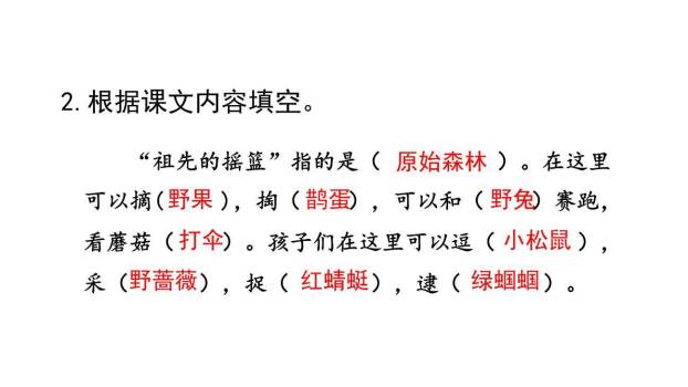 祖先的摇篮PPT课件69