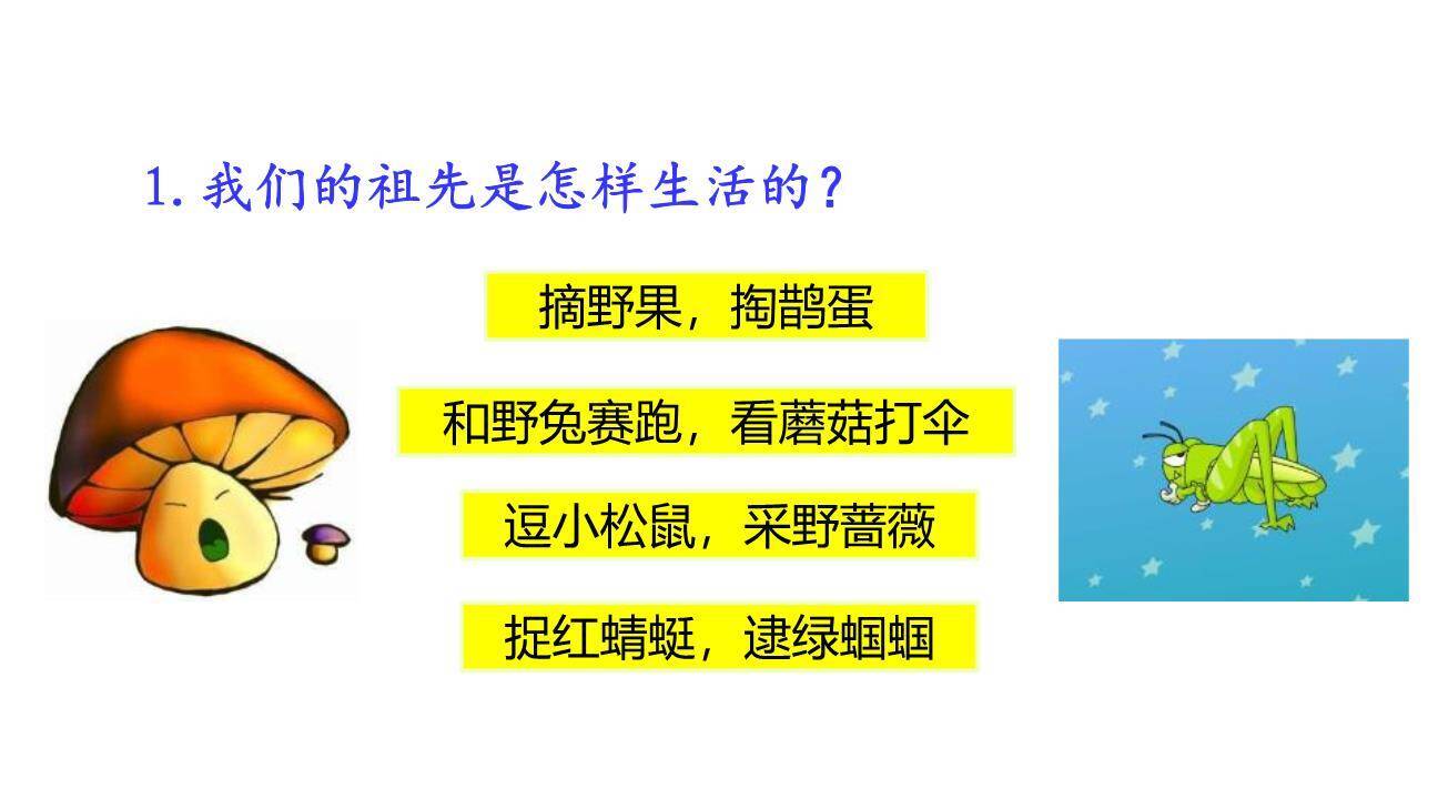 祖先的摇篮PPT课件61