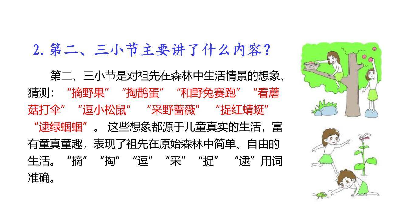 祖先的摇篮PPT课件64