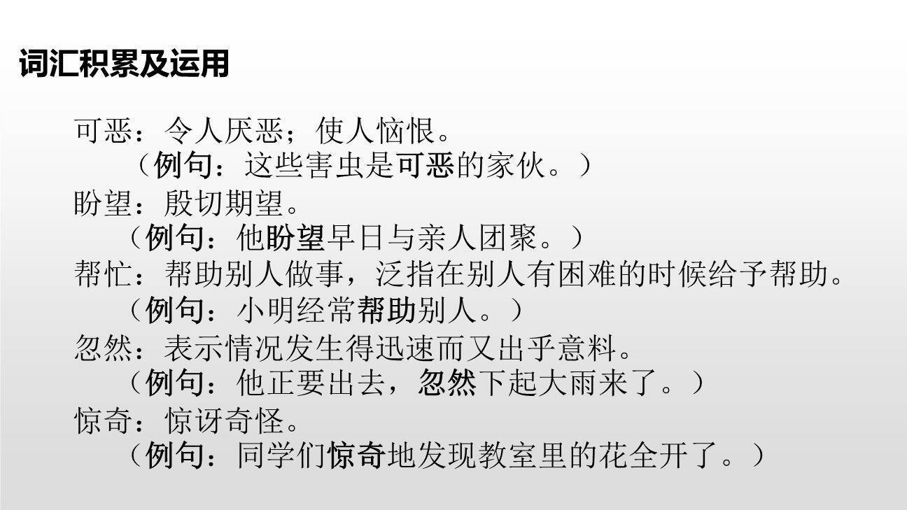 棉花姑娘PPT课件18