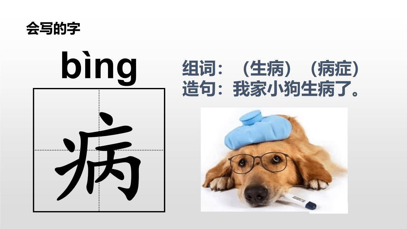 棉花姑娘PPT课件11