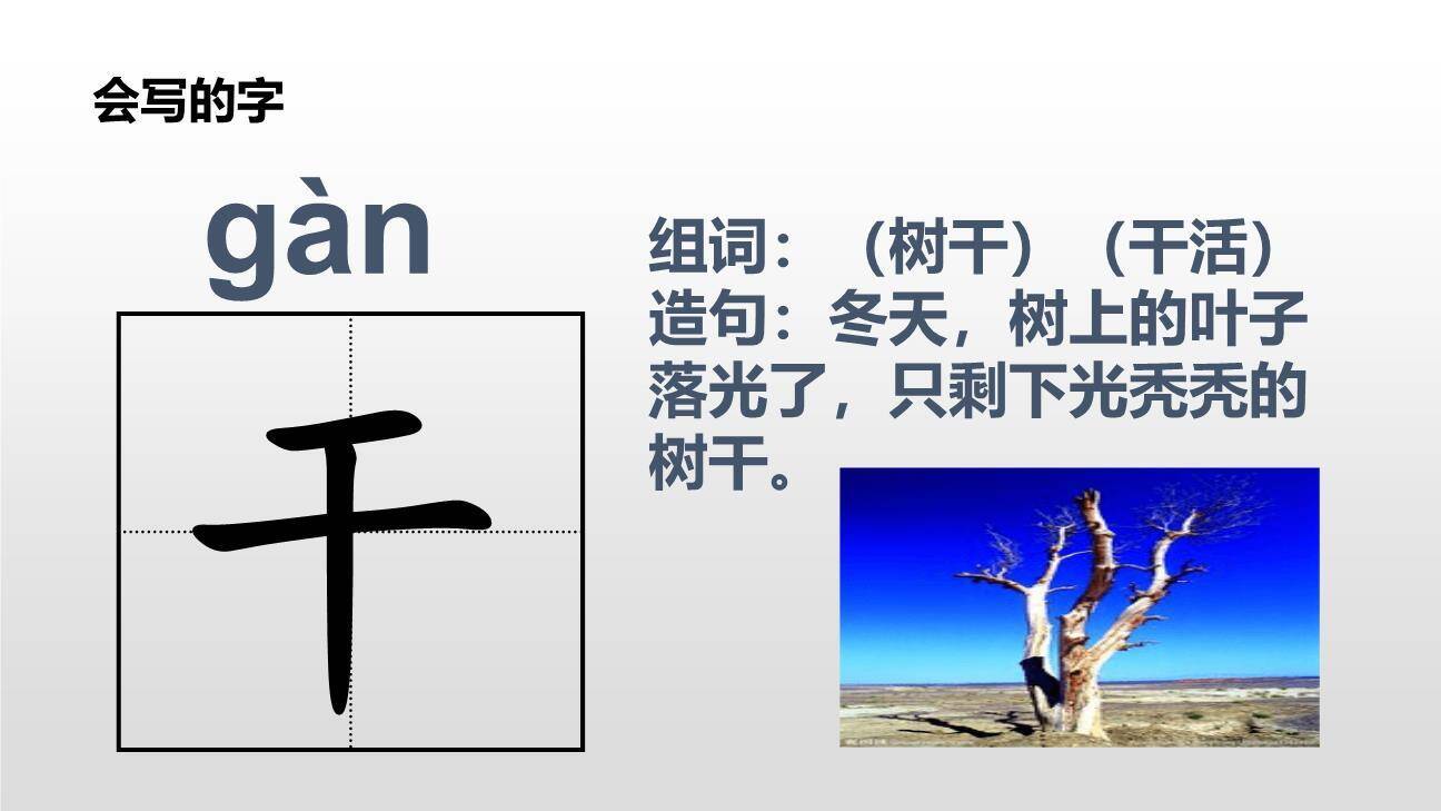 棉花姑娘PPT课件14