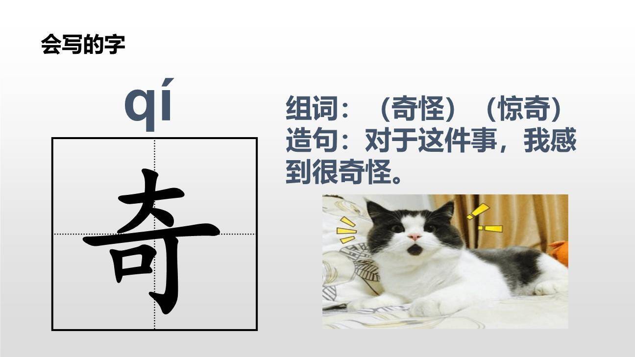 棉花姑娘PPT课件15