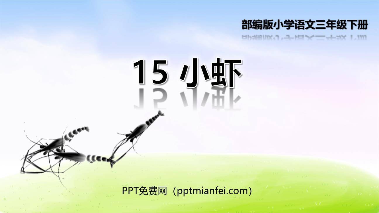 小虾PPT课件50