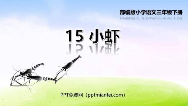 小虾PPT课件50