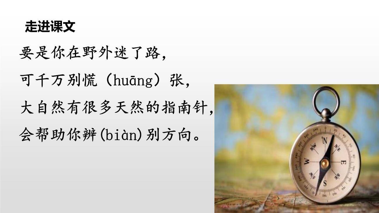 要是你在野外迷了路PPT课件28