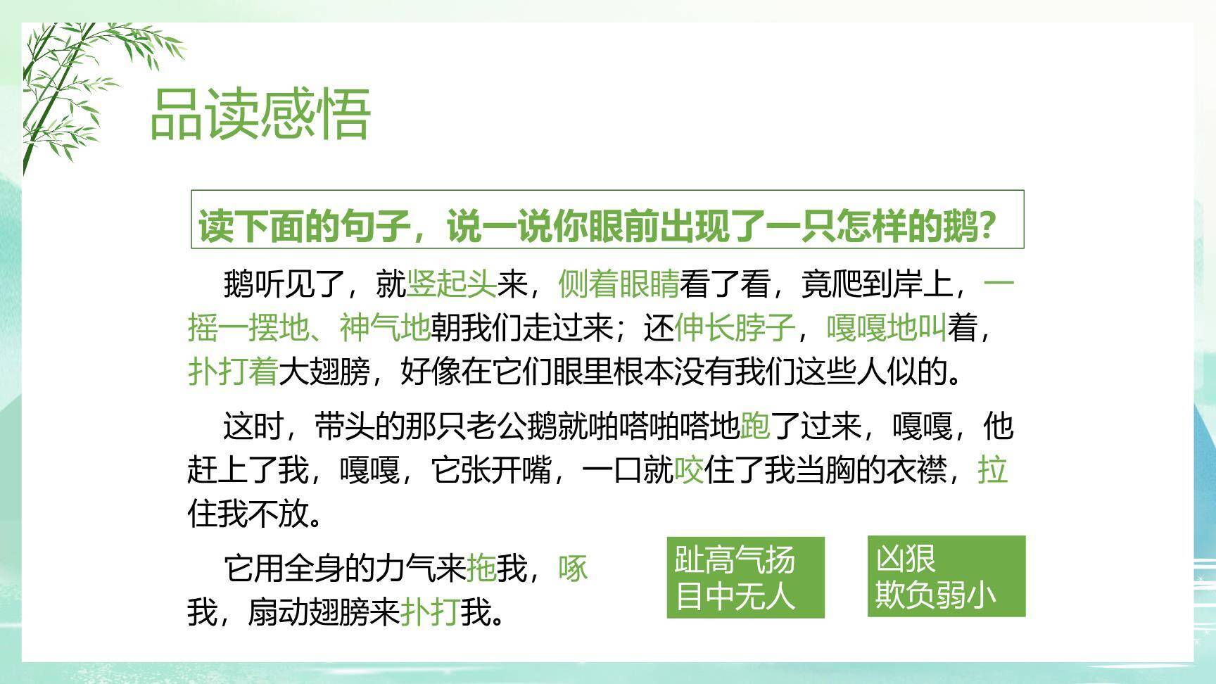 牛和鹅PPT课件79