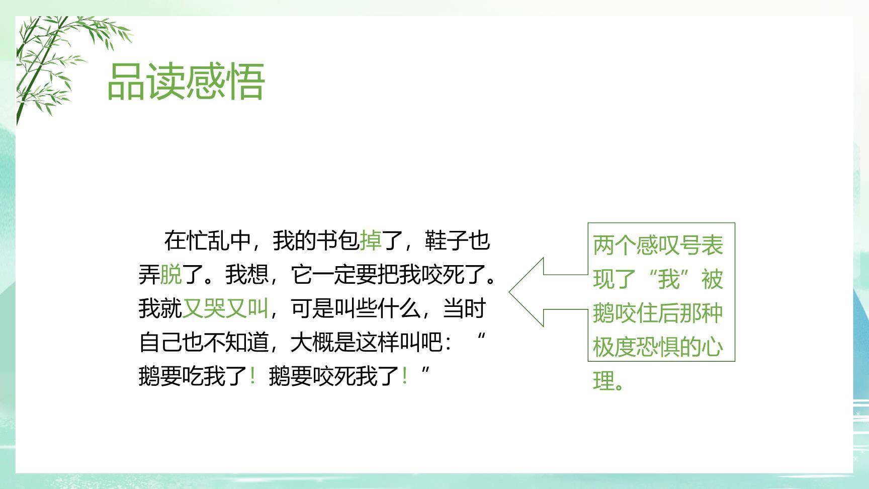 牛和鹅PPT课件77
