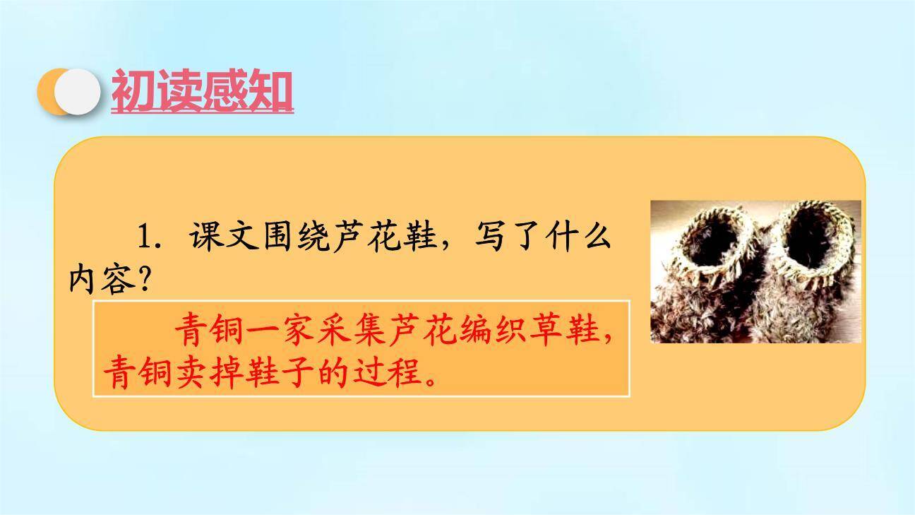 芦花鞋PPT课件53