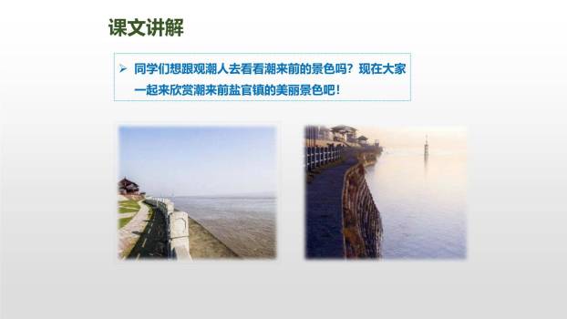 观潮PPT课件73