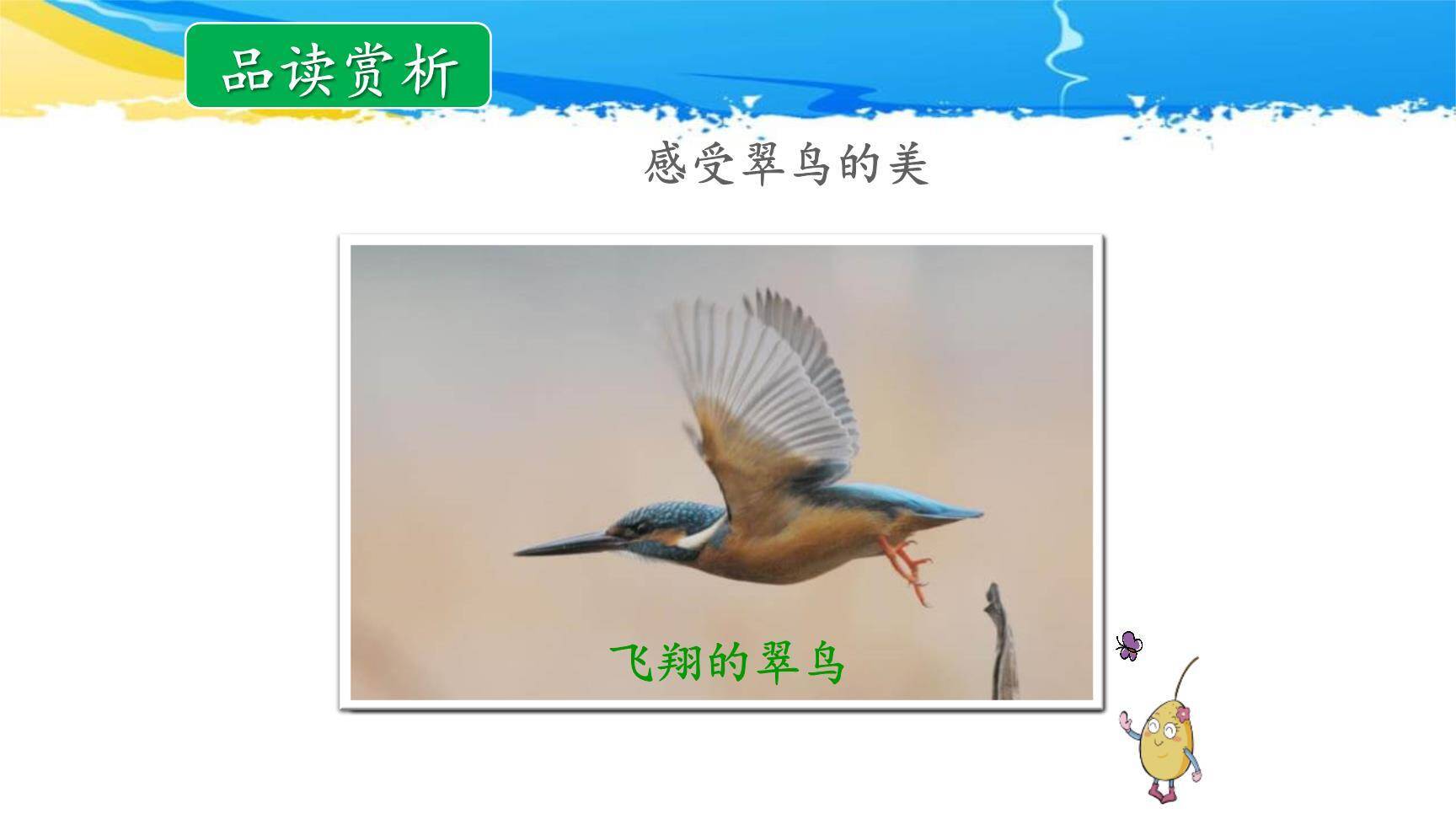 搭船的鸟PPT课件17