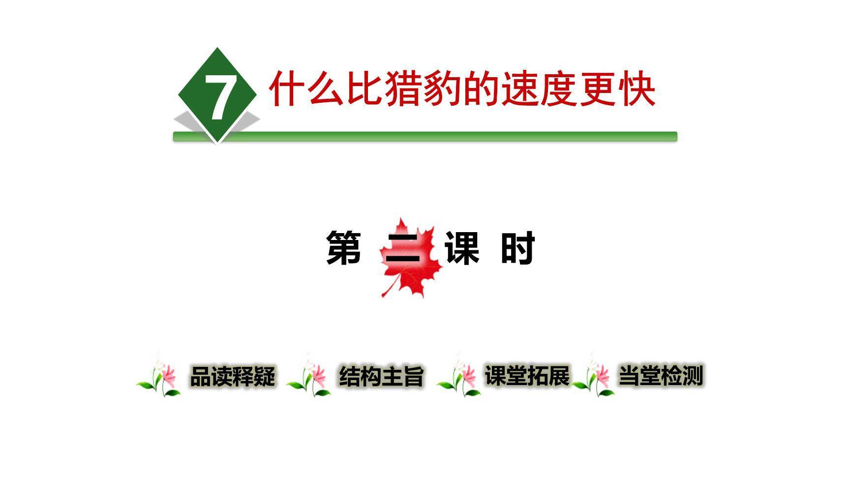 什么比猎豹的速度更快PPT课件30