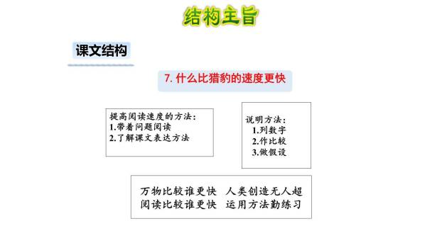 什么比猎豹的速度更快PPT课件34