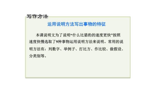 什么比猎豹的速度更快PPT课件36