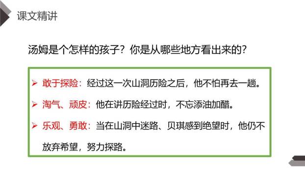 汤姆·索亚历险记PPT课件38