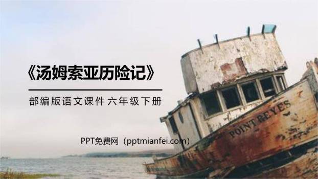 汤姆·索亚历险记PPT课件30