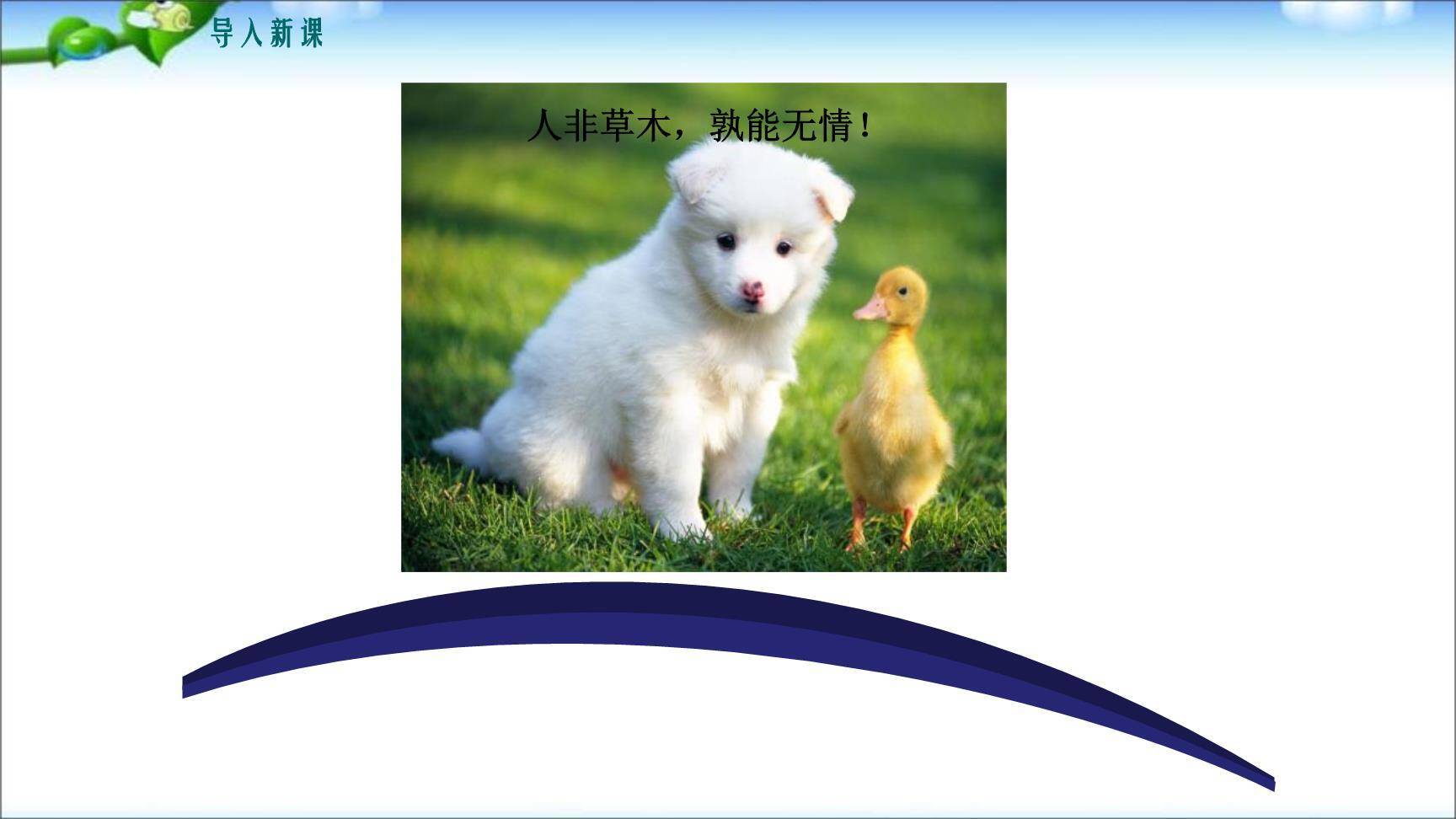 学习抒情PPT课件27