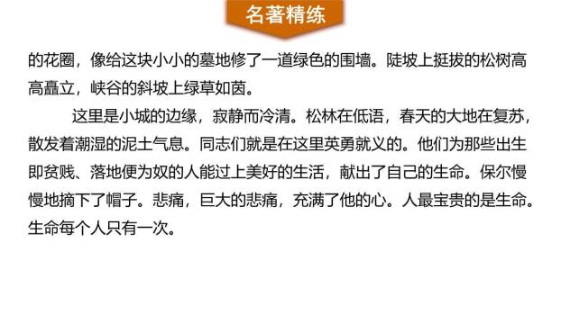 钢铁是怎样炼成的PPT课件29