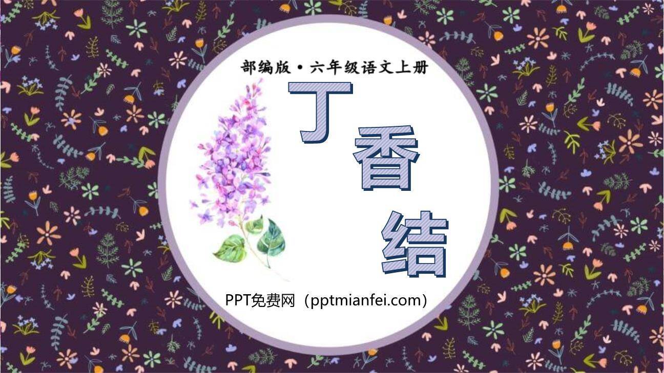 丁香结PPT课件80