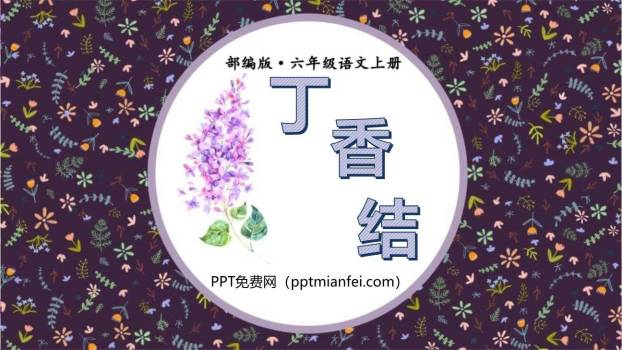 丁香结PPT课件80