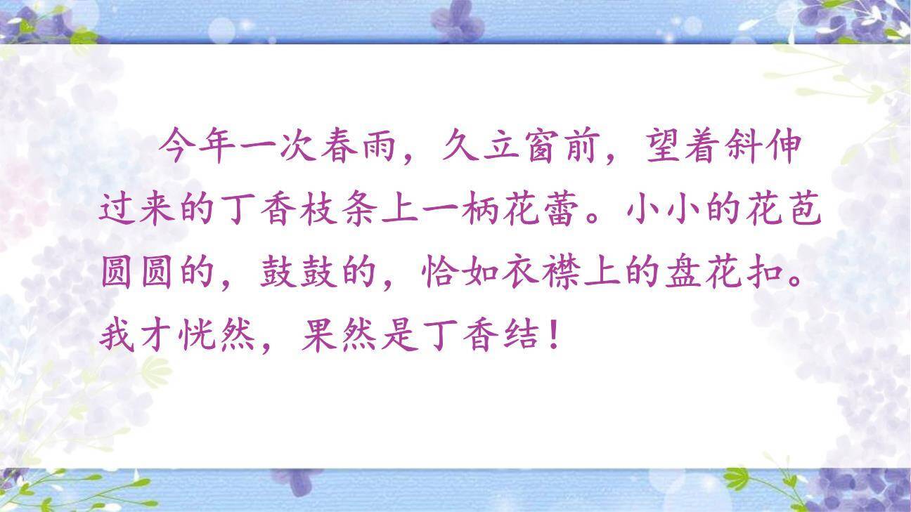 丁香结PPT课件82