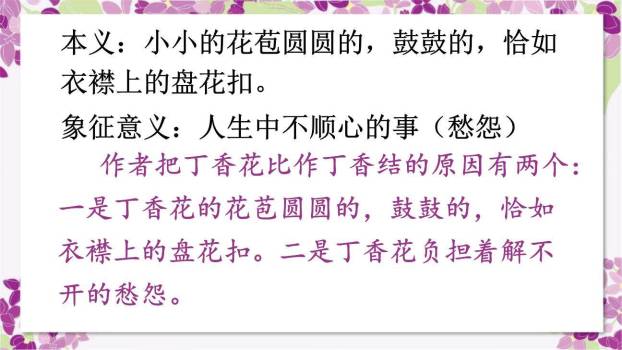 丁香结PPT课件84