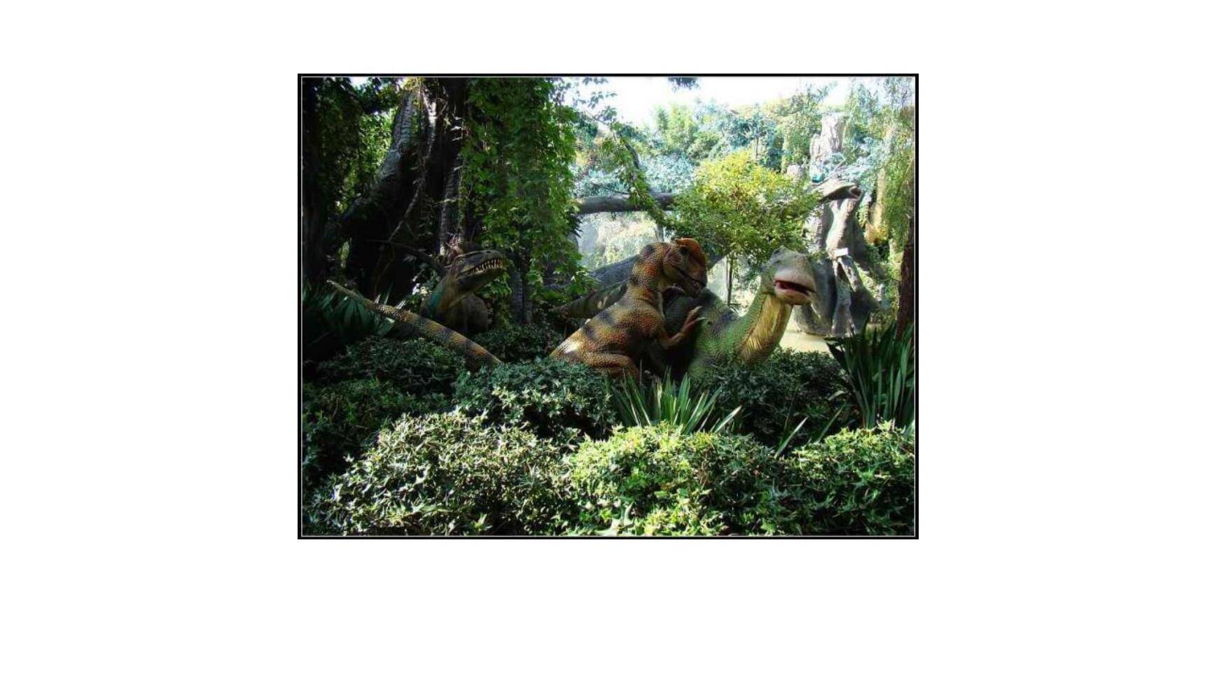 阿西莫夫短文两篇PPT课件12